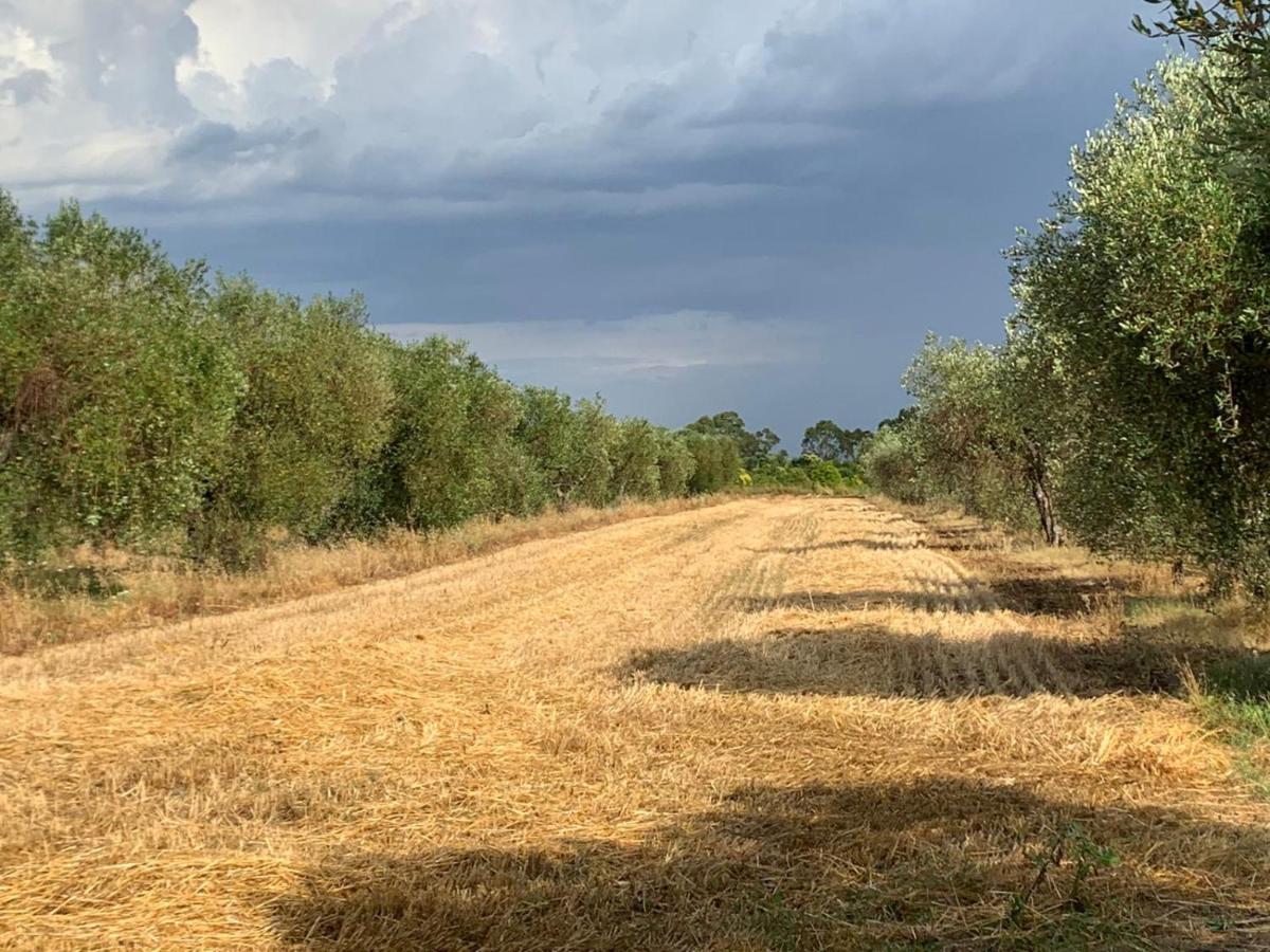 Agriturismo Beveraggio Appartamenti Marina di Grosseto Dış mekan fotoğraf